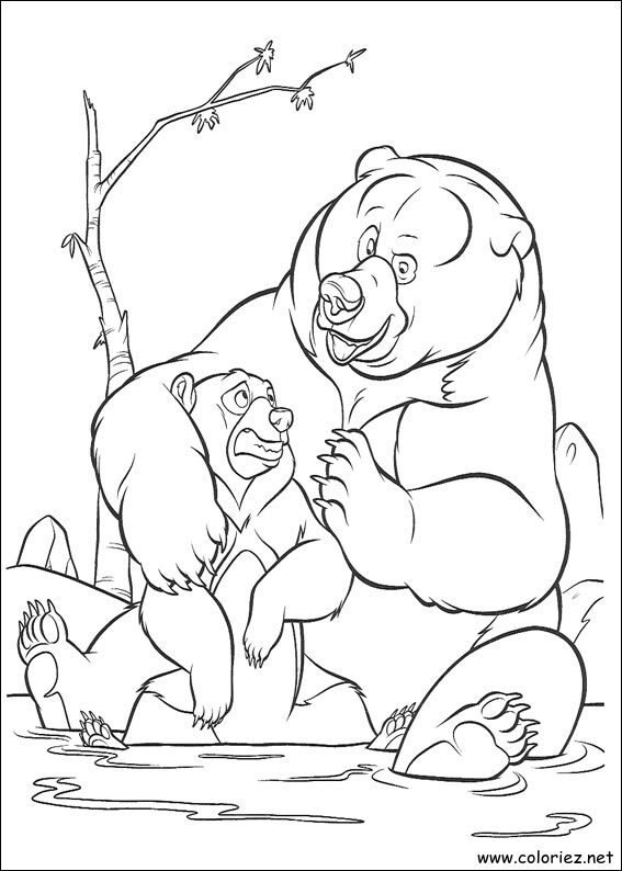 Coloriage de Frère des Ours à imprimer