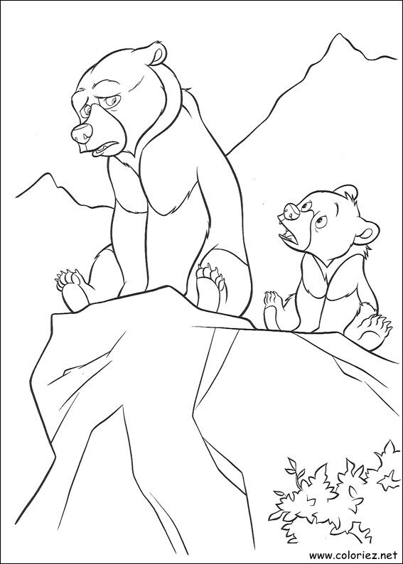 Coloriage de Frère des Ours à imprimer