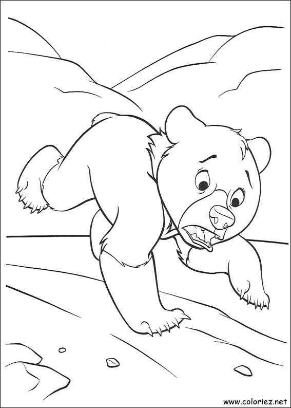 Coloriage de Frère des Ours à imprimer