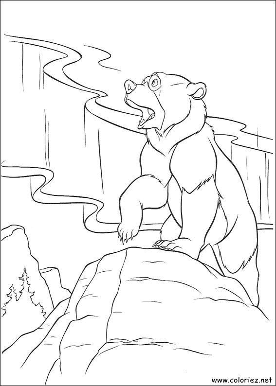 Coloriage de Frère des Ours à imprimer