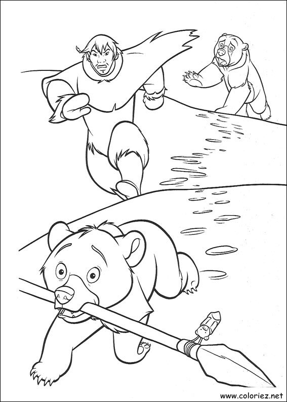 Coloriage de Frère des Ours à imprimer