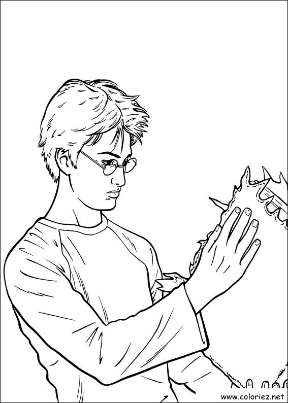 Coloriage de Harry Potter à imprimer !