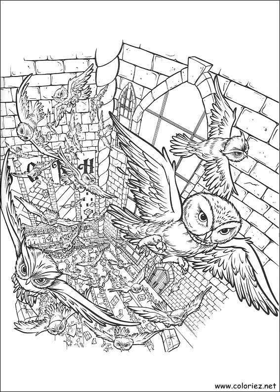 Coloriage de Harry Potter à imprimer !