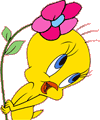 Coloriage de Titi et Grosminet
