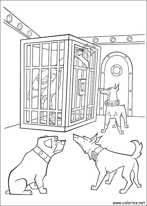 Coloriage de Là-haut à imprimer