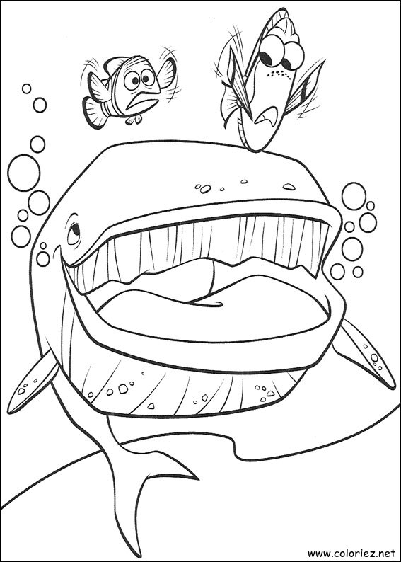 Coloriage de Le monde de Nemo à imprimer
