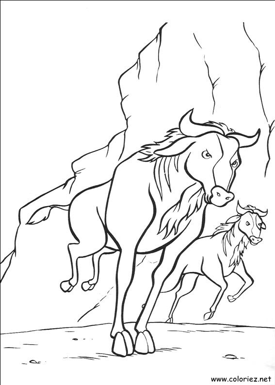 Coloriage de Le roi lion à imprimer !