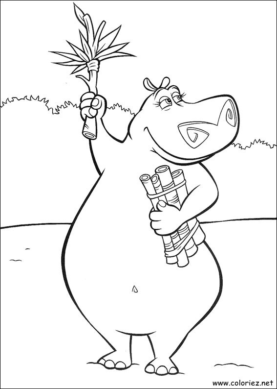 Coloriage de Madagascar à imprimer !