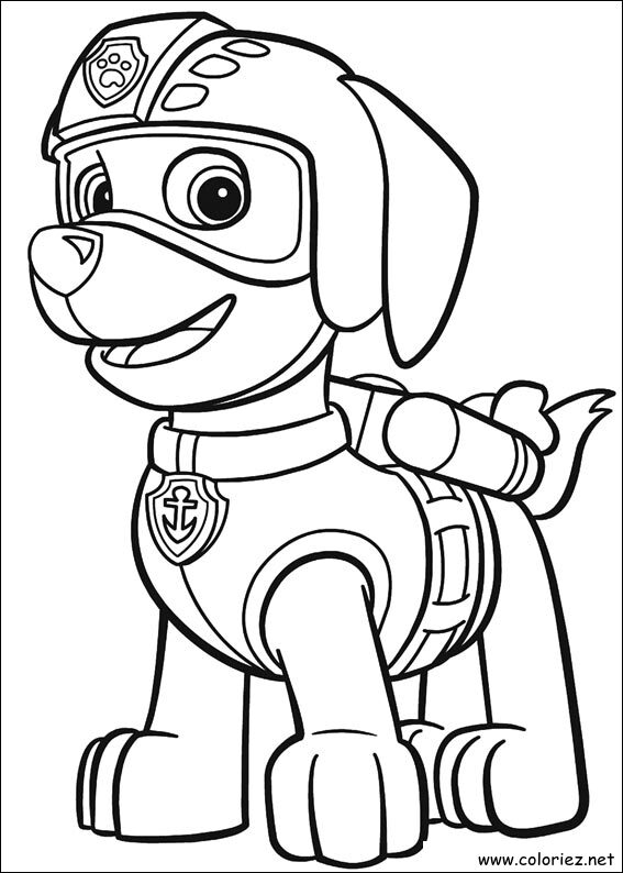 Coloriage de Zuma à imprimer