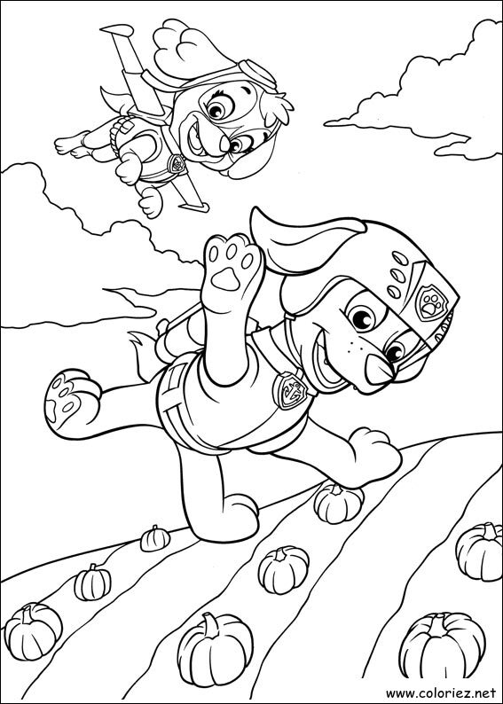 Coloriage de Stella et Zuma à imprimer
