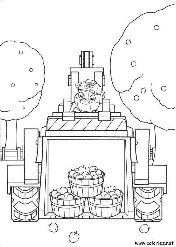 Coloriage de La Pat' Patrouille à imprimer