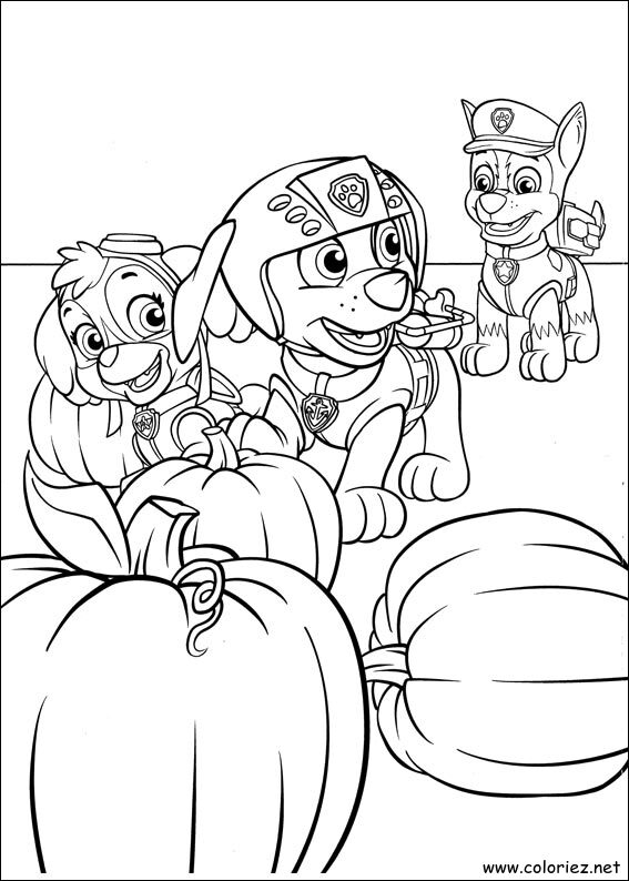 Coloriage de La Pat' Patrouille à imprimer