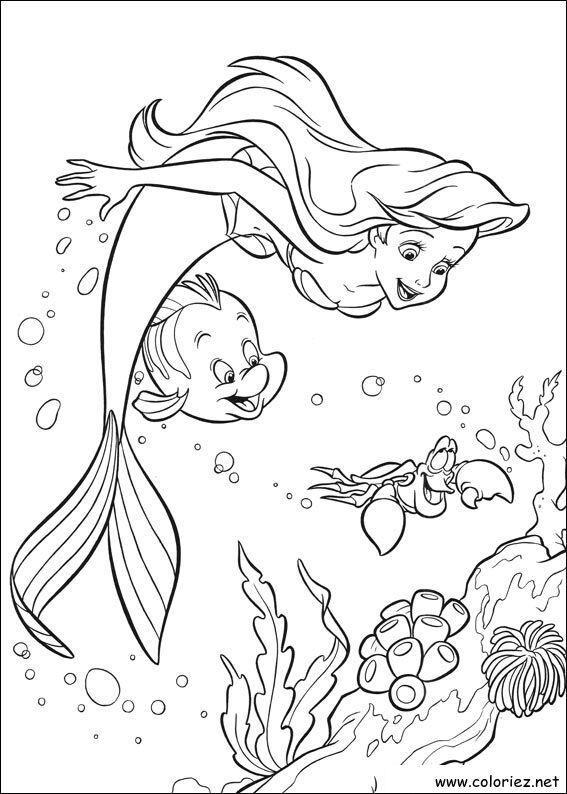 Coloriage de La Petite Sirène à imprimer !