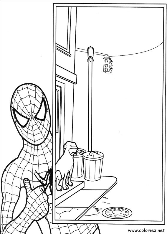 Coloriage de Spiderman à imprimer !