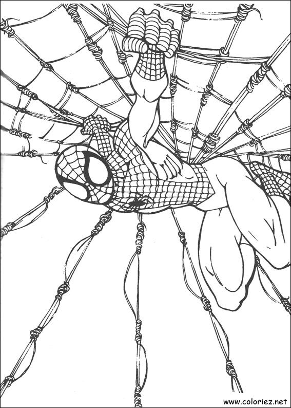 Coloriage de Spiderman à imprimer !