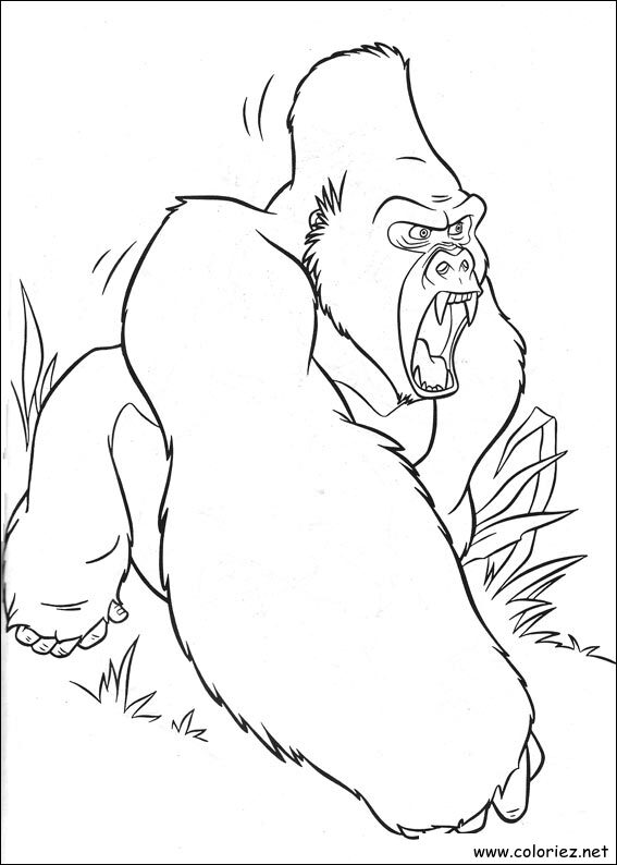Coloriage de Tarzan à imprimer