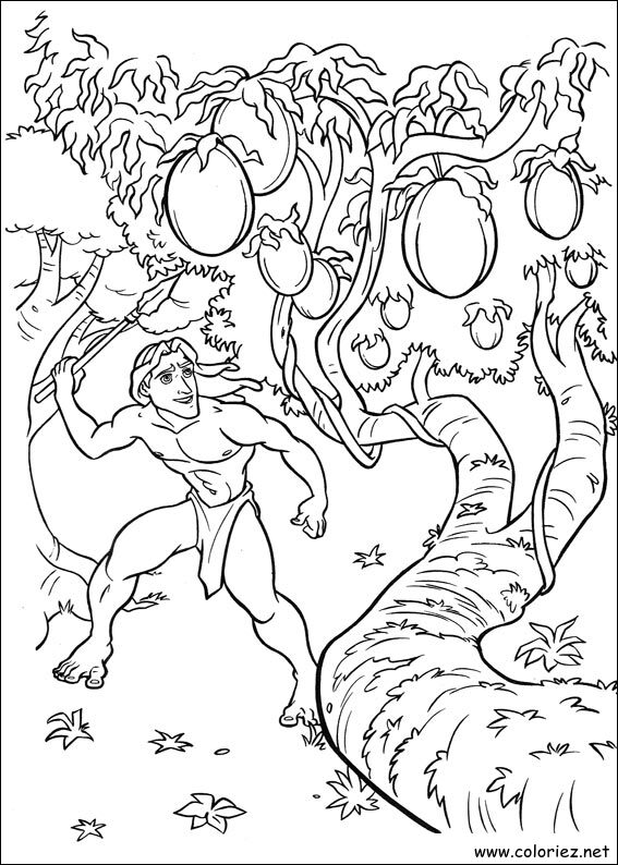 Coloriage de Tarzan à imprimer