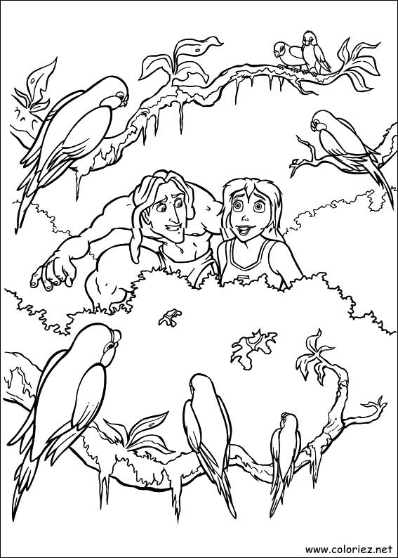 Coloriage de Tarzan à imprimer