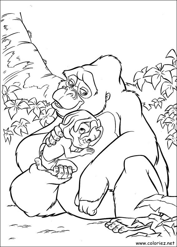 Coloriage de Tarzan à imprimer