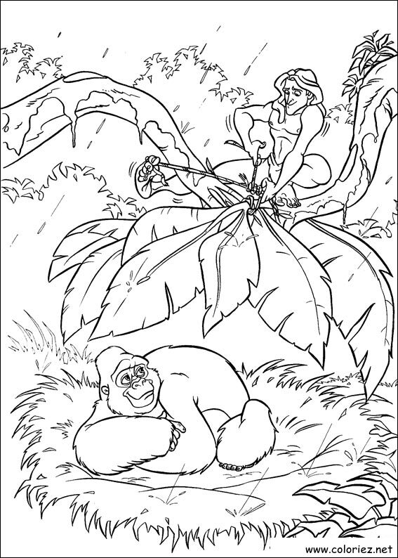Coloriage de Tarzan à imprimer