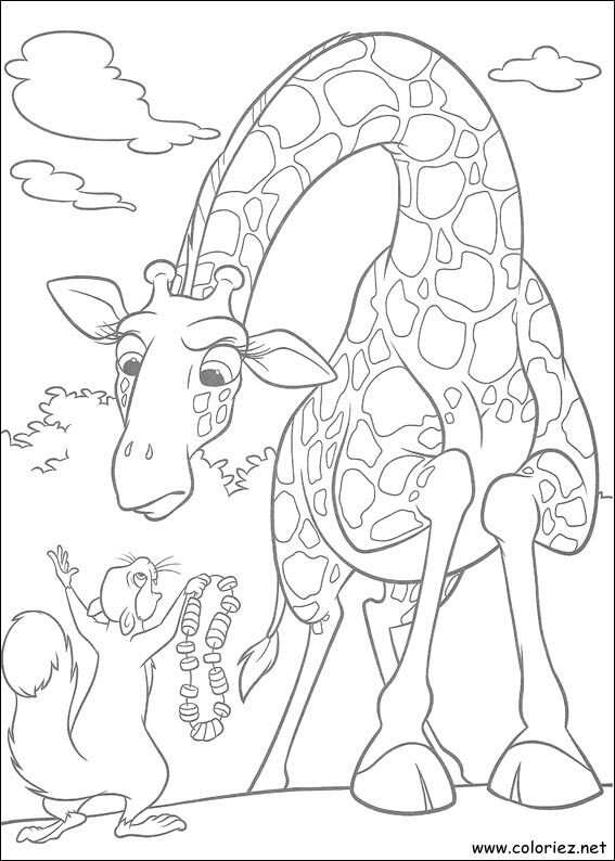 Coloriage de The Wild à imprimer