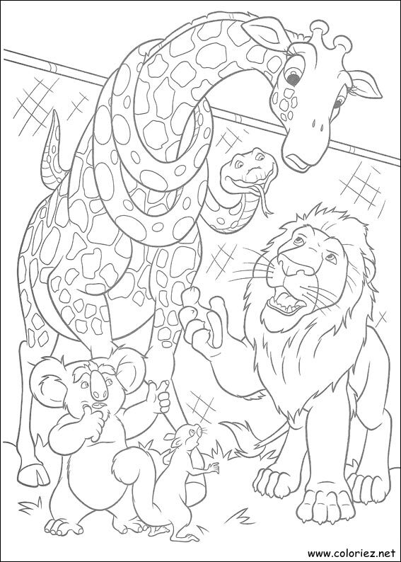 Coloriage de The Wild à imprimer
