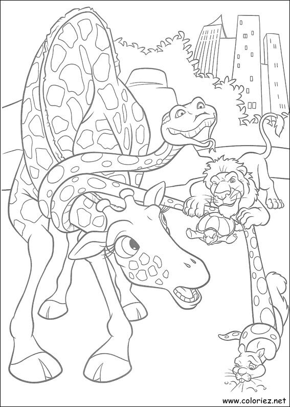 Coloriage de The Wild à imprimer