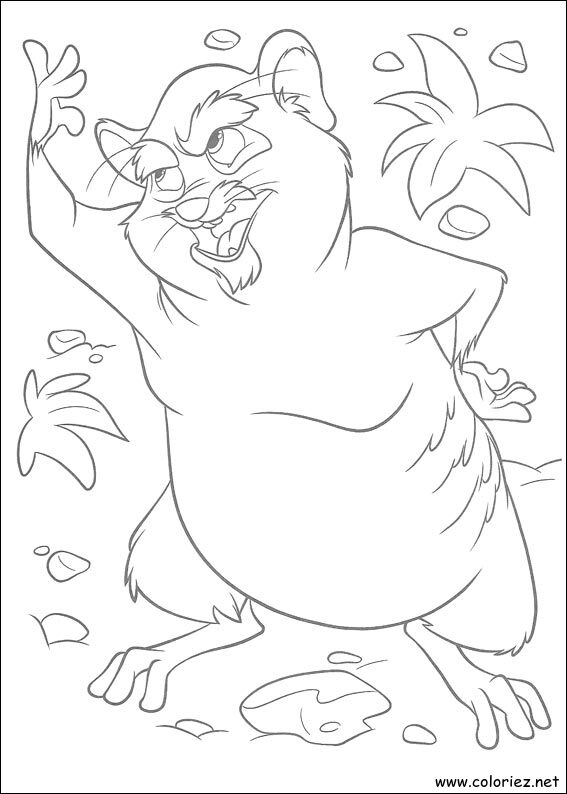 Coloriage de The Wild à imprimer