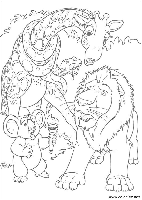 Coloriage de The Wild à imprimer
