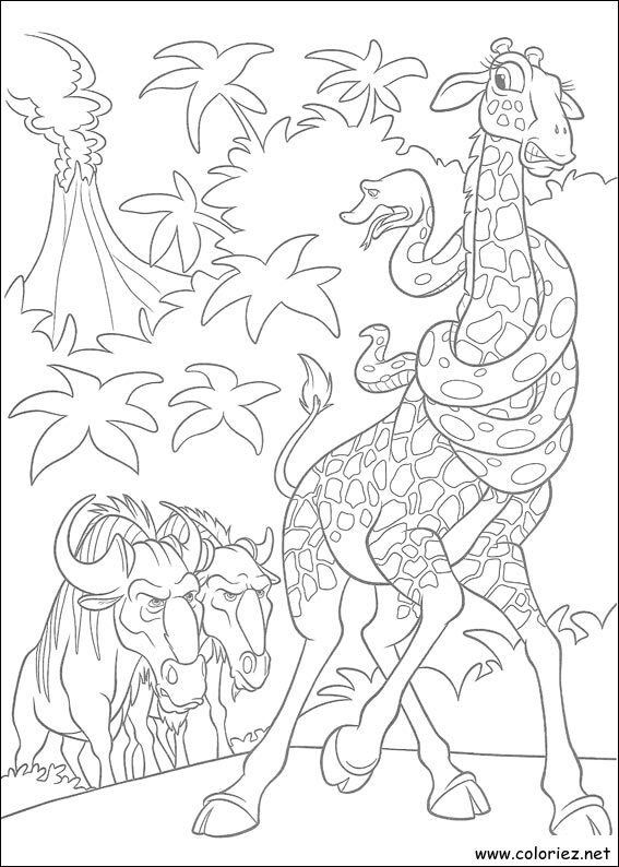 Coloriage de The Wild à imprimer