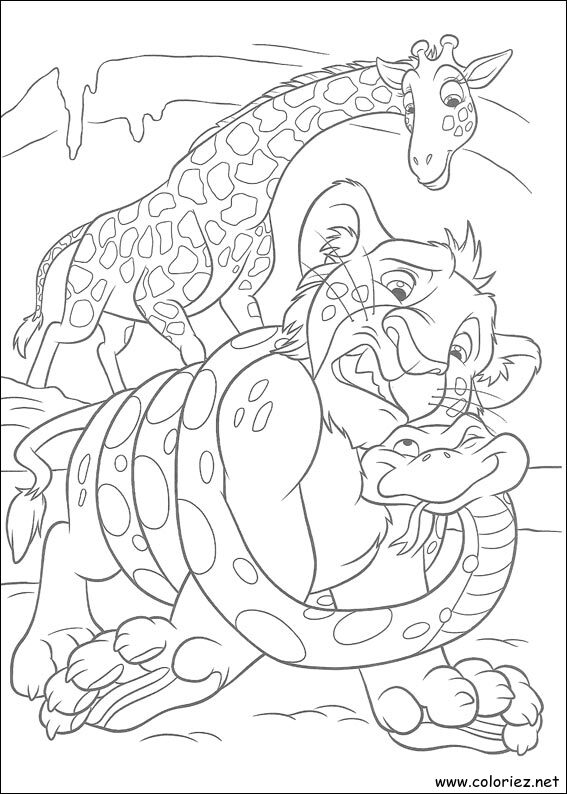 Coloriage de The Wild à imprimer