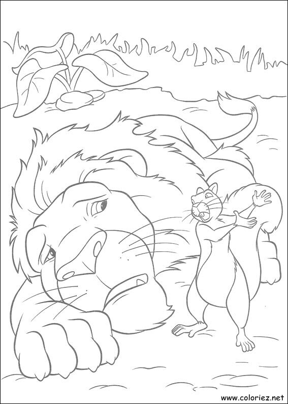 Coloriage de The Wild à imprimer