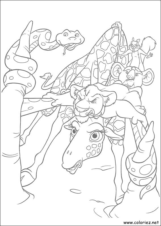 Coloriage de The Wild à imprimer