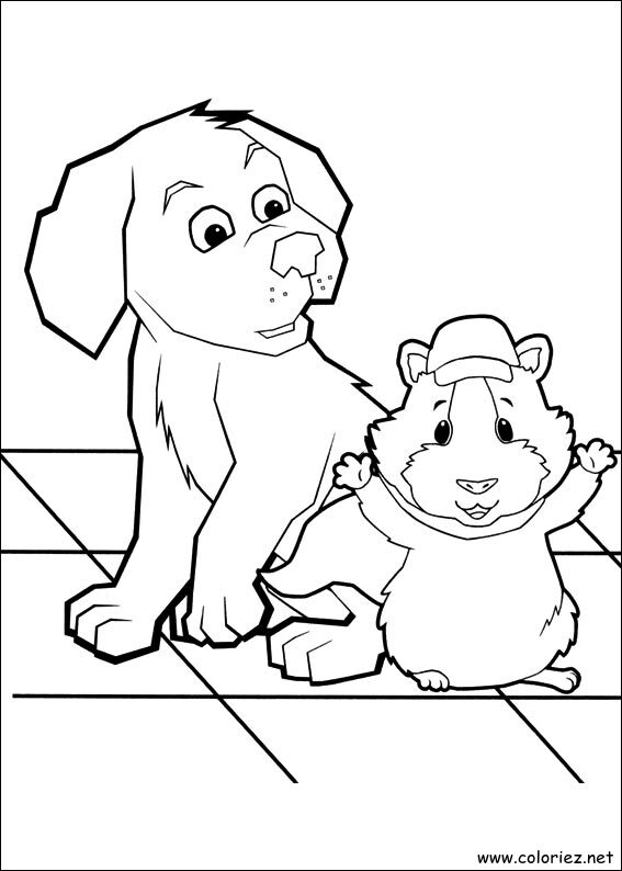 Coloriage de Wonder Choux à imprimer