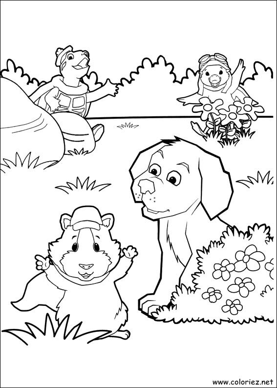 Coloriage de Wonder Choux à imprimer